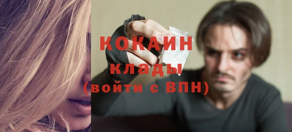 метадон Няндома