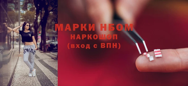 стаф Новозыбков