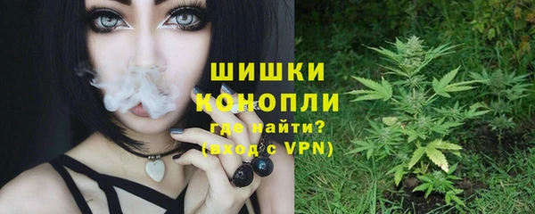 метадон Няндома