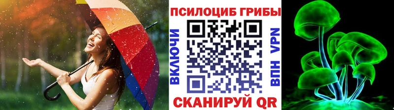 Галлюциногенные грибы ЛСД Новосиль